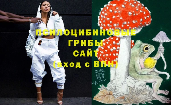 ешки Белоозёрский