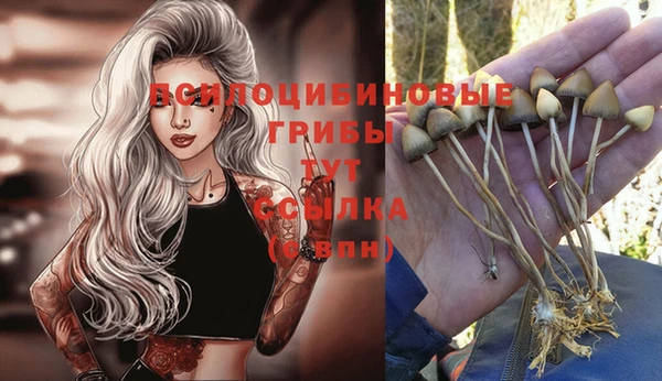 прущая мука Баксан