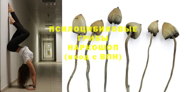 гидропоника Беломорск
