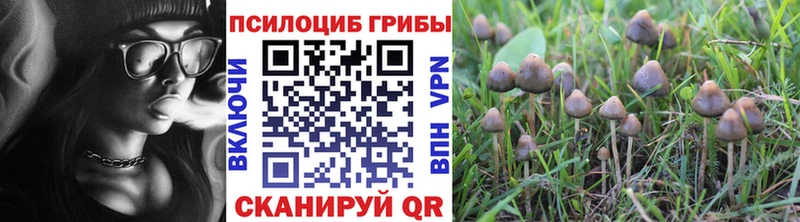 Псилоцибиновые грибы ЛСД  Реутов 