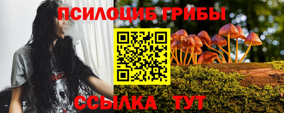 Реутов  Псилоцибиновые грибы Psilocybe  Вход с VPN 