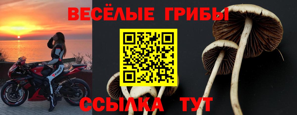 Псилоцибиновые грибы мухоморы Реутов